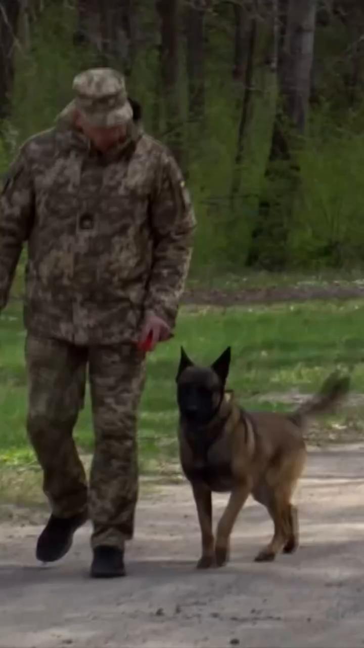 Warhol clona perros militares perfectos y los equipa con sensores avanzados