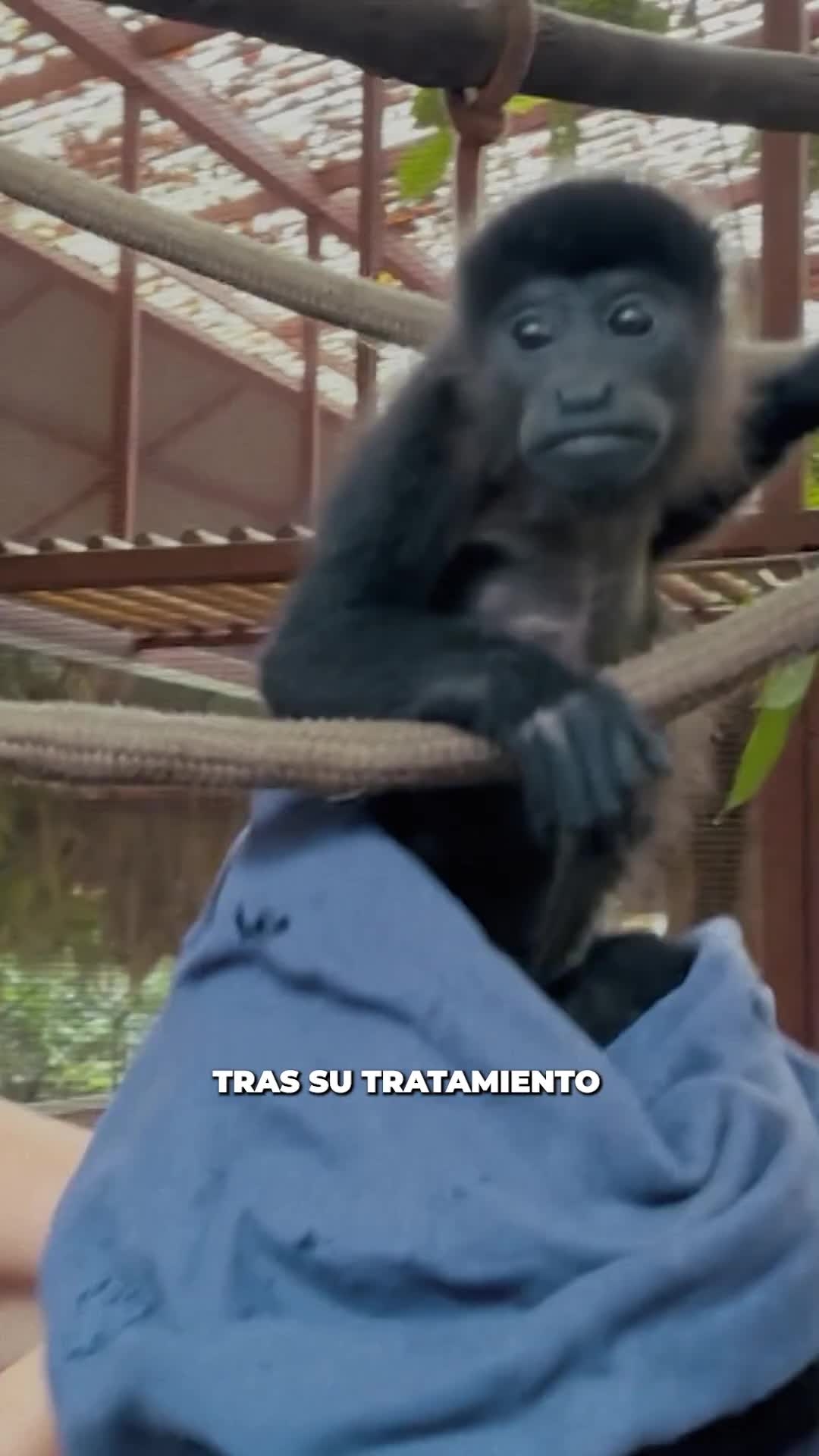 Detrás de cada rescate hay una historia de esfuerzo, dedicación y esperanza.