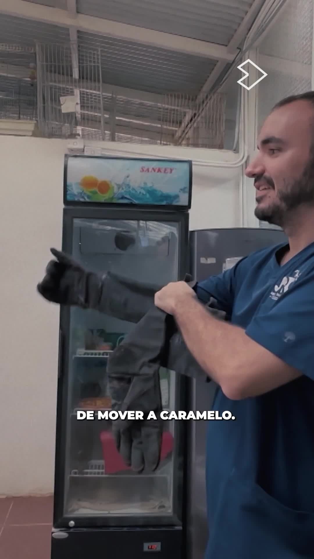 Siguiente paso en la recuperación de Caramelo: comprobar si puede moverse 💪✨