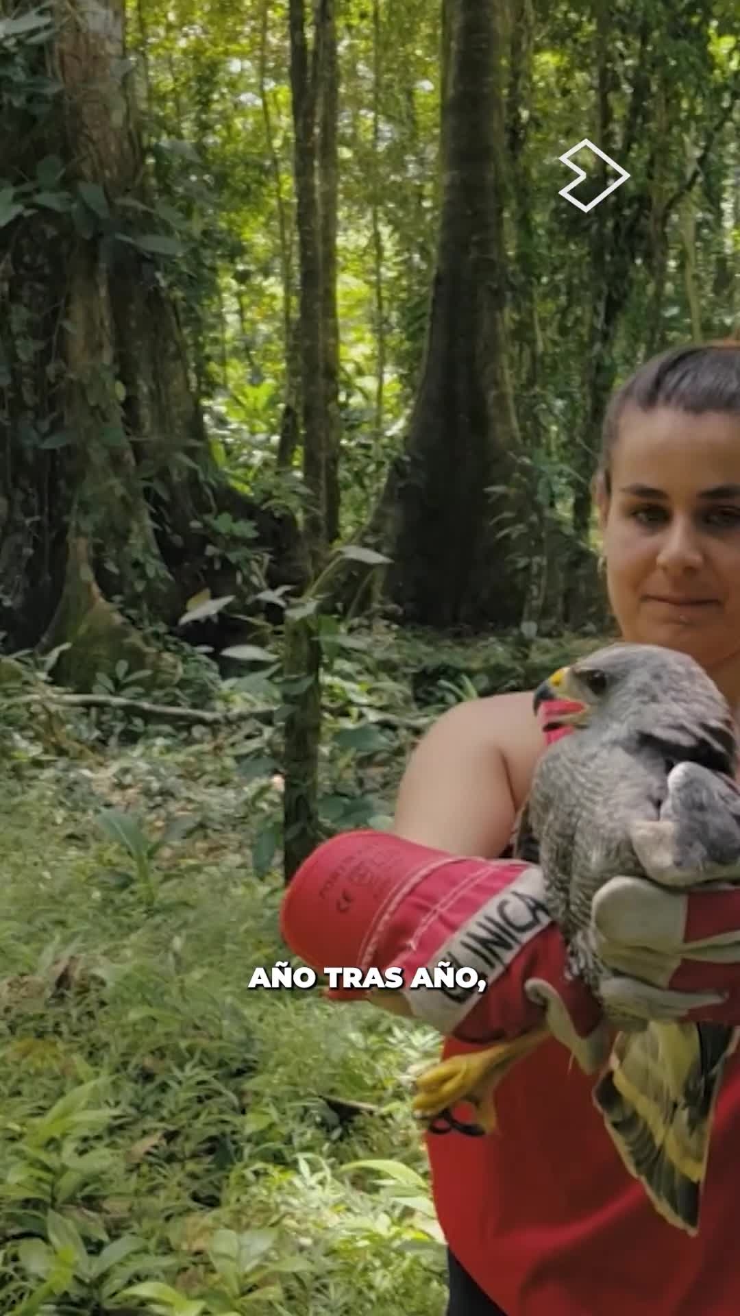 🐦💚 Nos encanta ver los avances de cada una de las aves de #RescueCenter ✨