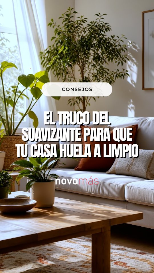 ¿Quieres que tu casa huela a limpio nada más entrar de una forma sencilla y barata?