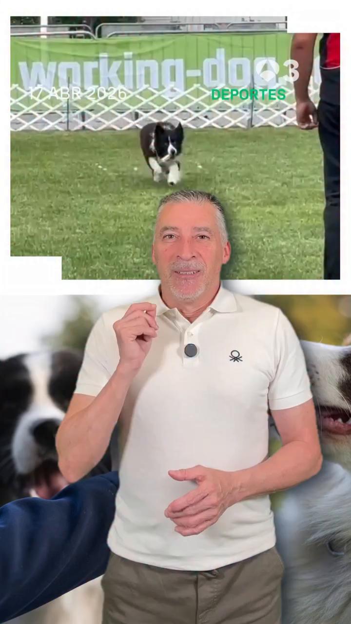 🐶 Toni Aguilar y su perro Zizou se van a presentar al Mundial de Obediencia que se celebra en Suecia el próximo mes de junio