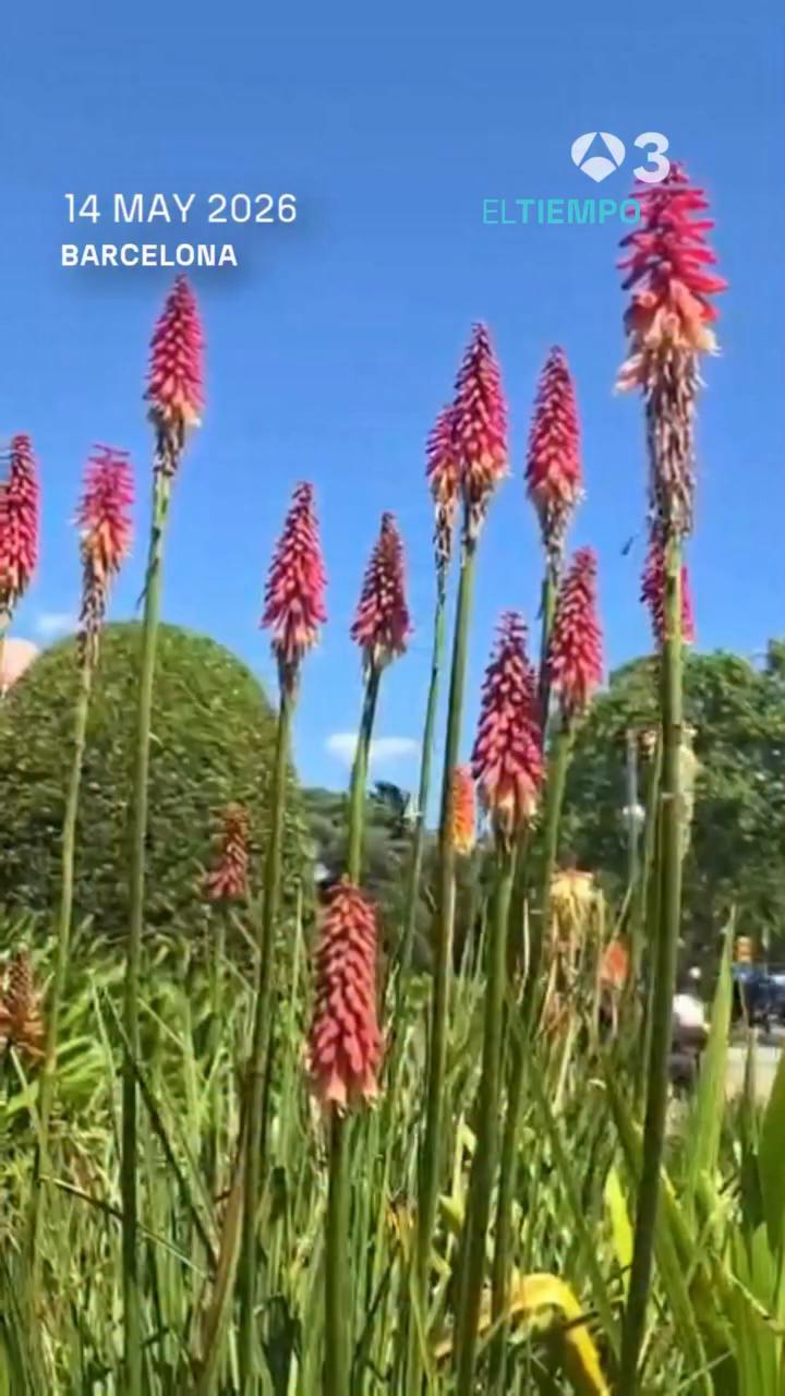 Chubascos inestables azotan Cataluña pese al sol: avisos amarillos en Lampurdá