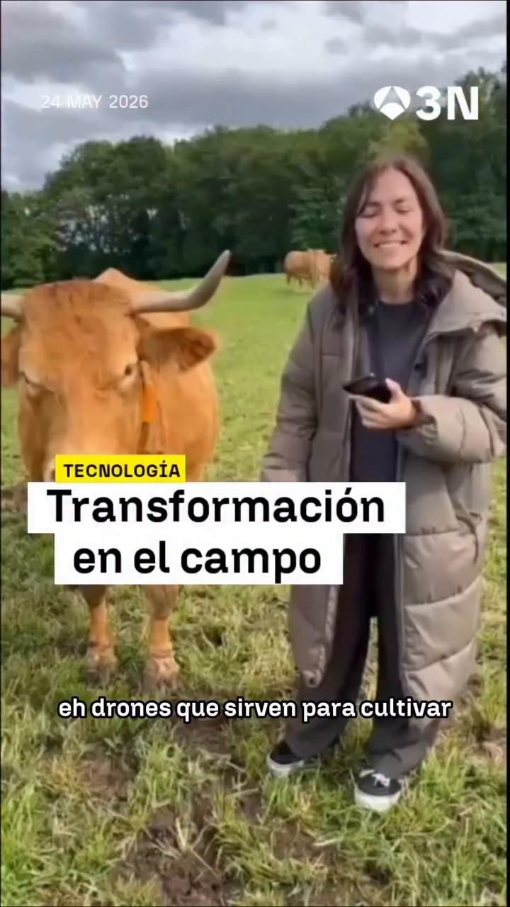 Collares inteligentes y drones transforman la ganadería y el cultivo moderno