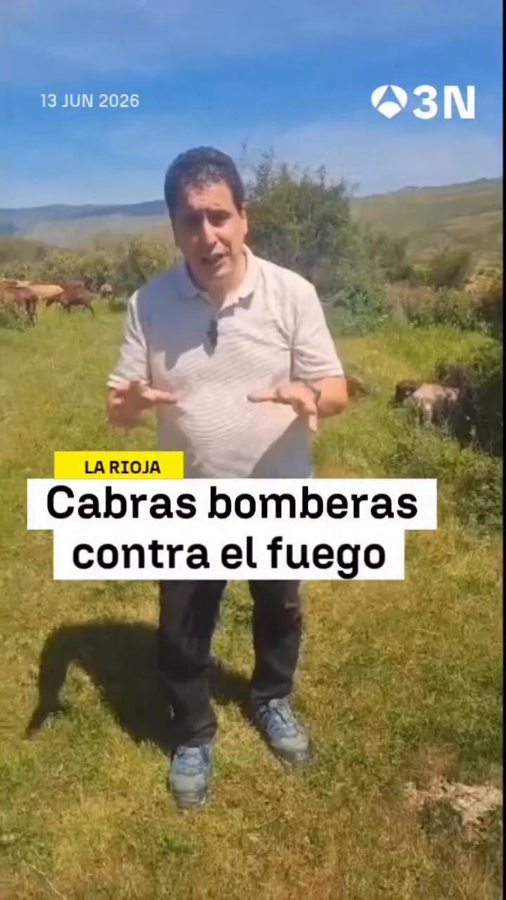 🐐 Cabras bomberas para limpiar el monte contra el fuego en La Rioja