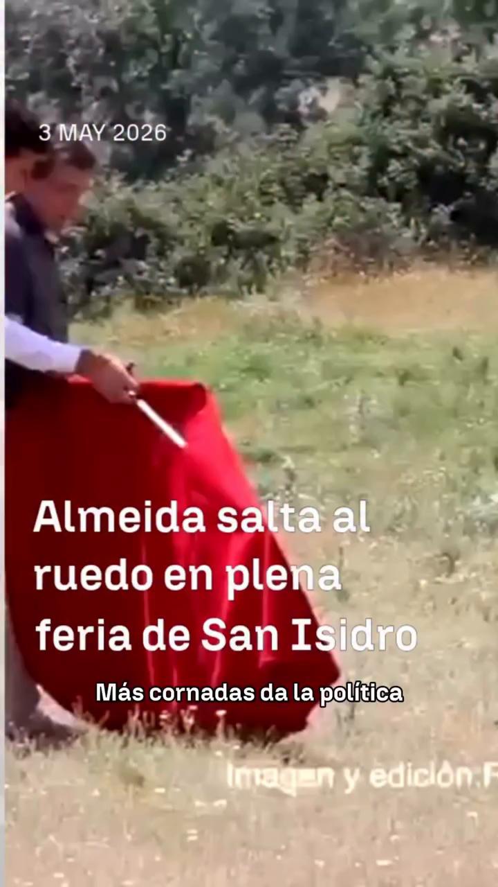 🐮 Almeida salta a los ruedos