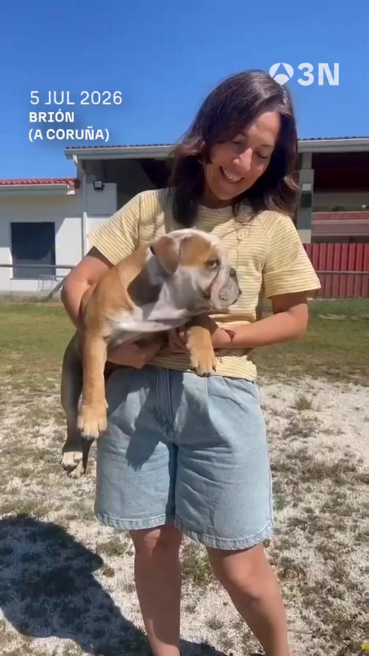 🐶🌱 Empiezan las vacaciones de verano y muchas guarderías para mascotas y plantas cuelgan el cartel de completo
