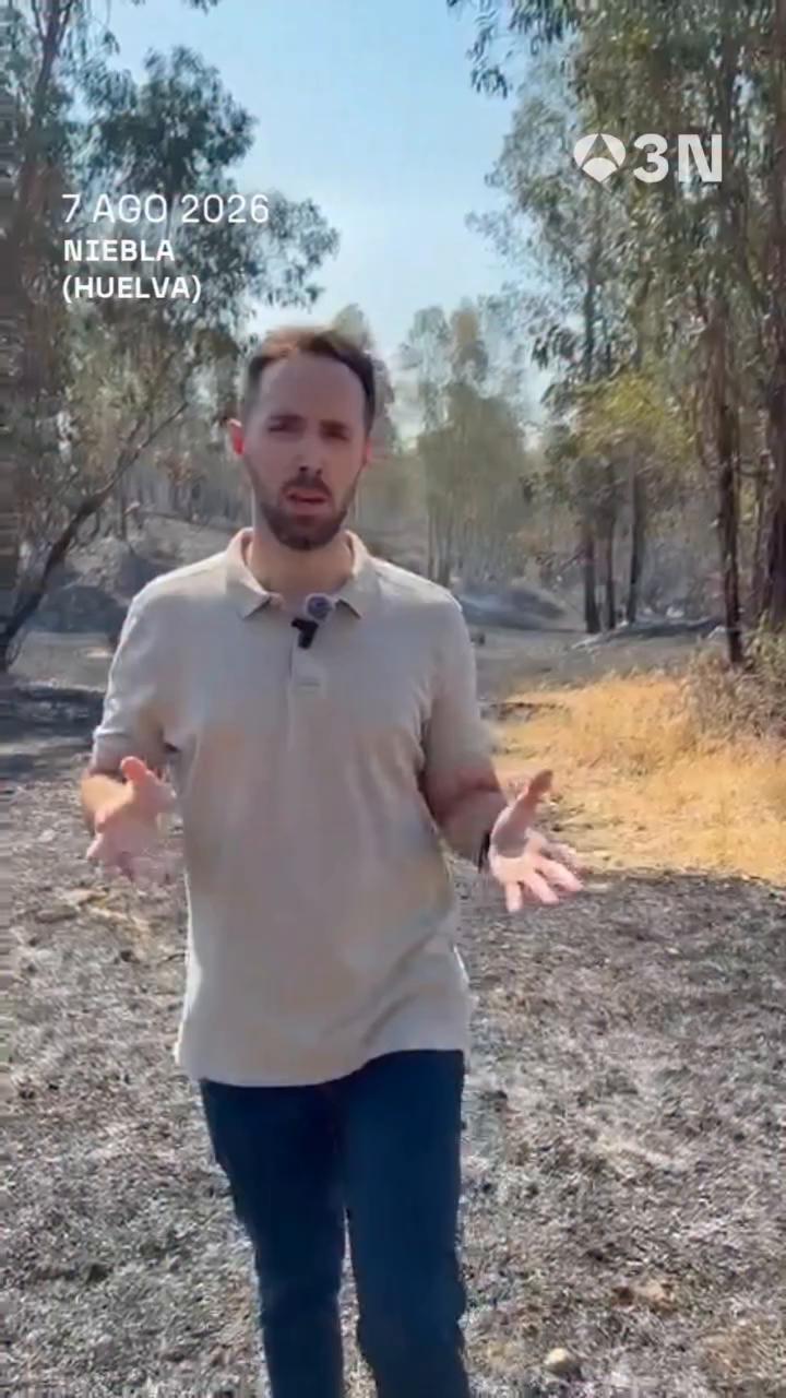 🔥 Preocupa el incendio forestal de Niebla en Huelva