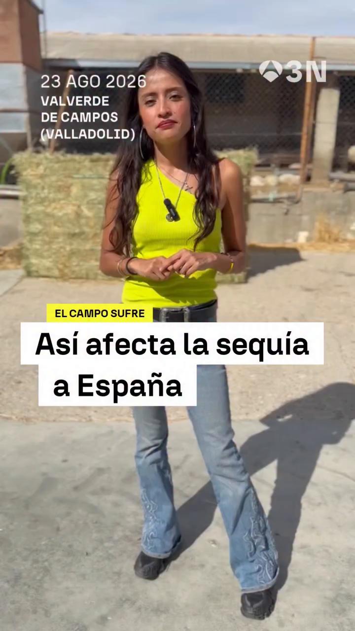 💧 La sequía afecta directamente y de manera negativa a las explotaciones agrícolas y ganaderas 