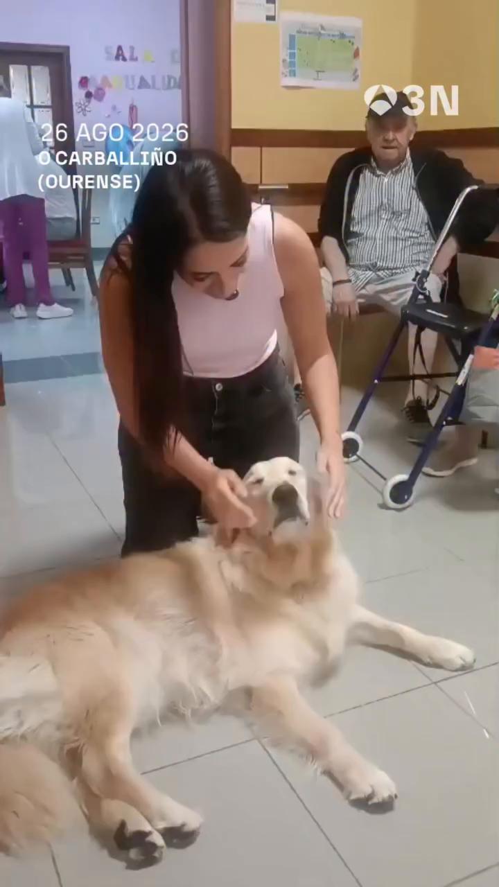 🐶👴🏻 Odie es el miembro número 112 de una residencia de personas mayores en O Carballiño, Ourense