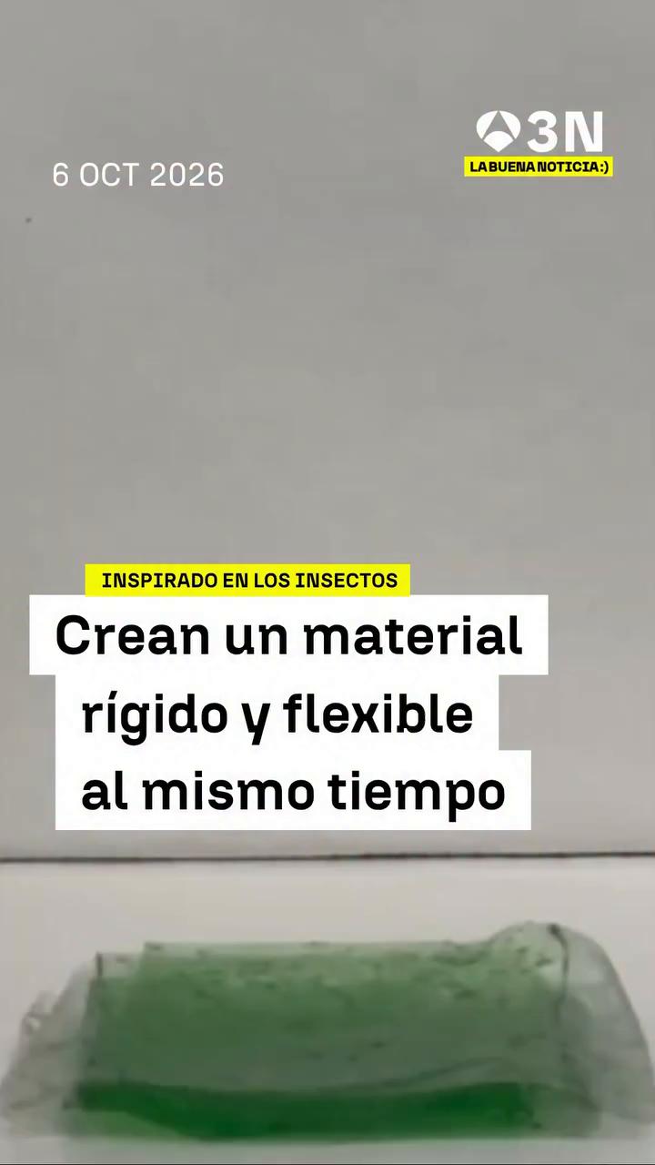 ℹ️ Un material programable biodegradable inspirado en insectos combina rigidez y flexibilidad