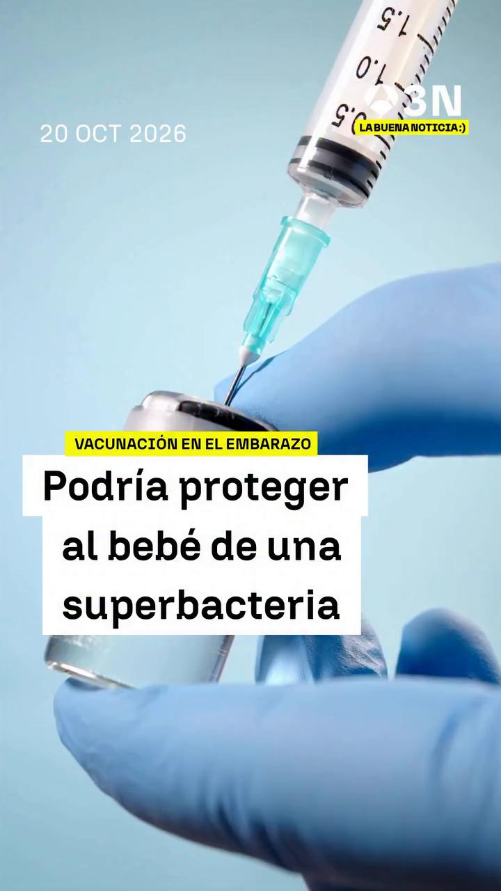 💉 La vacunación materna protege a más del 80% de las crías frente a una superbacteria en un estudio con ratones