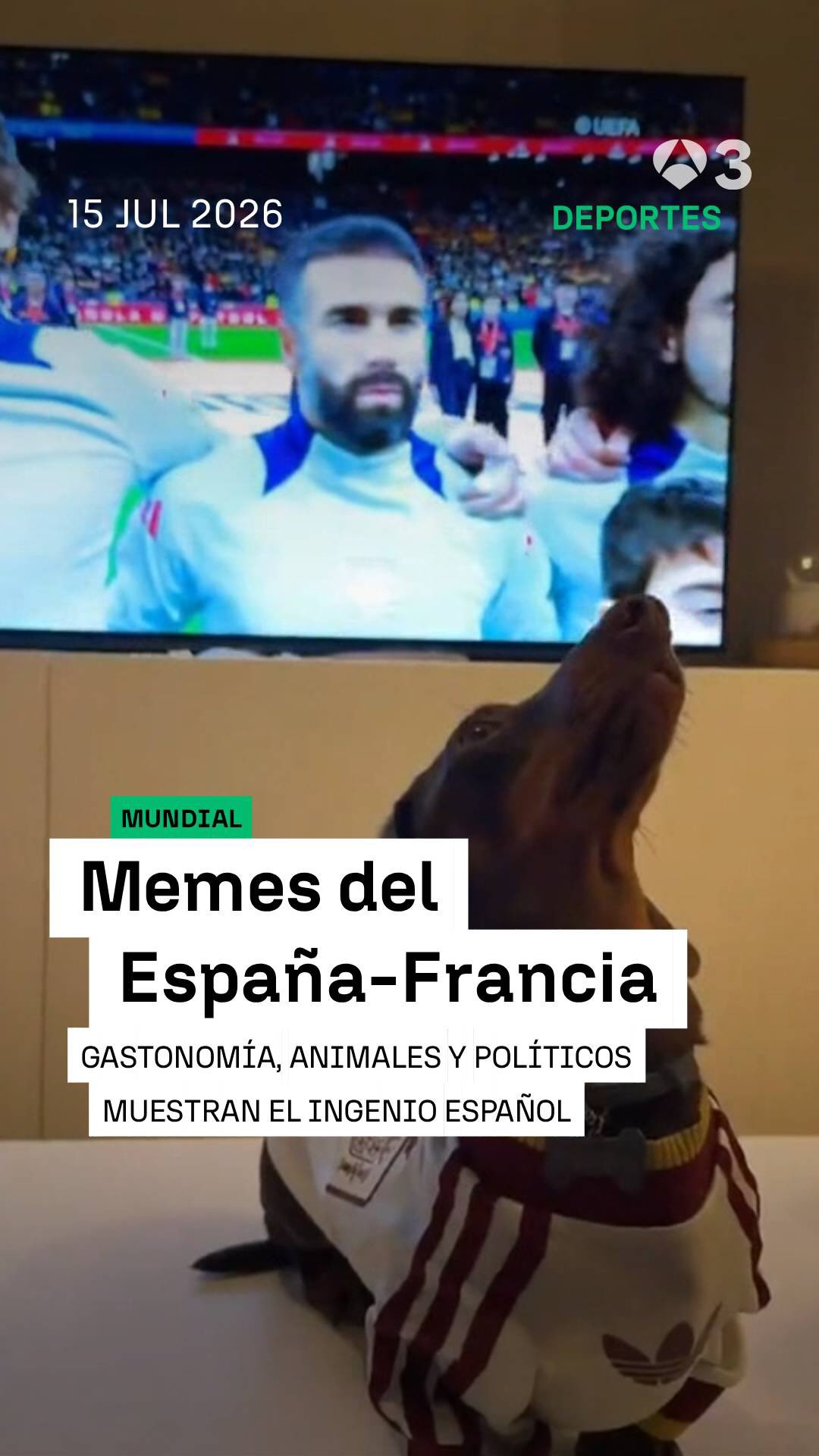🐱 🇪🇸 ⚽ Un gato fan de Cucurella, una pausa de hidratación con sabor a paella o el pequeño Keyne a hombros de Rajoy