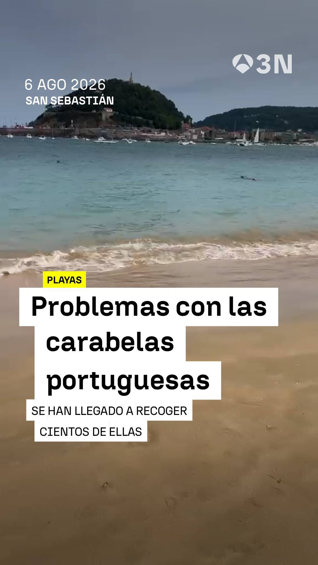 🪼 Cada vez es más habitual encontrarse carabelas portuguesas en las orillas de las playas donostiarras