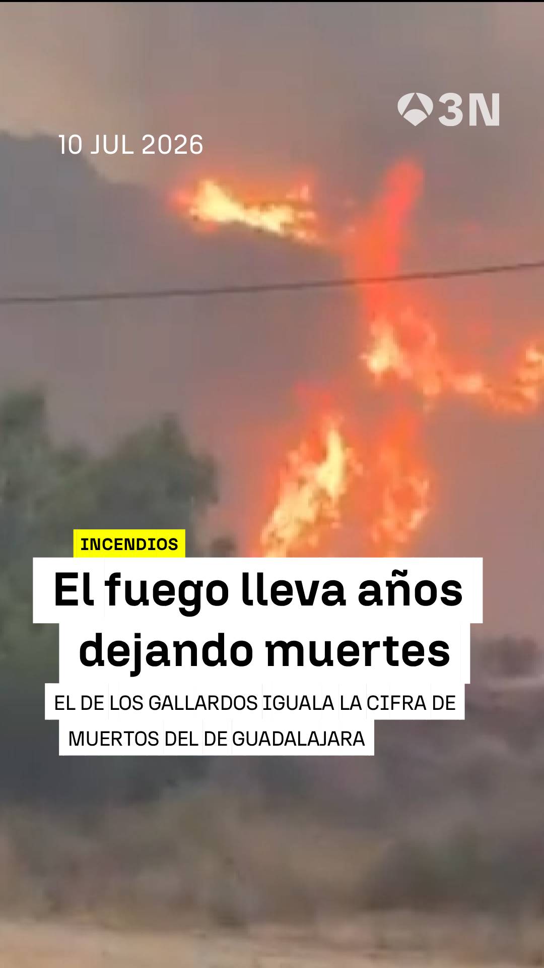 🔥 Los incendios llevan años cobrándose múltiples vidas, siendo el de Guadalajara el último más letal de España hasta ahora con Los gallardos.