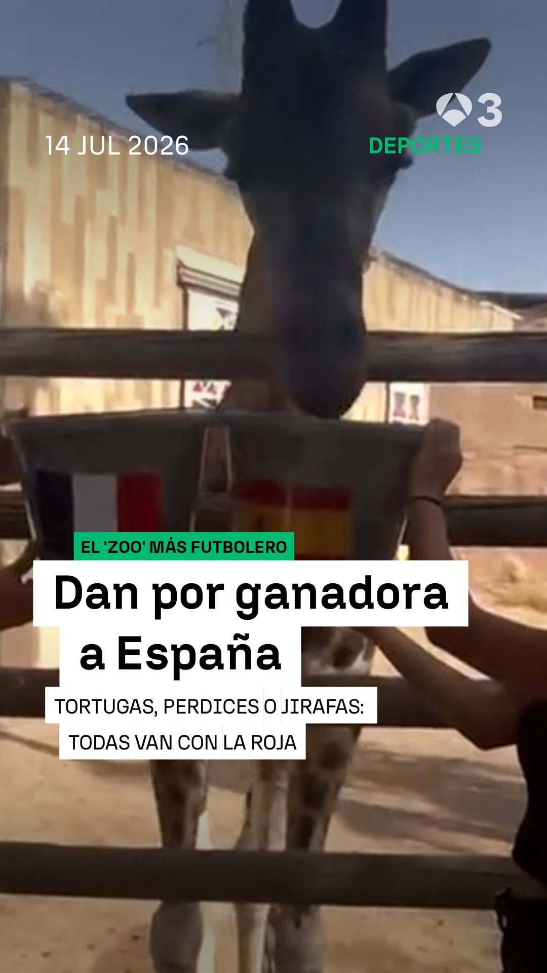 🇪🇸⚽ Llega un gran partido y ya están aquí las predicciones