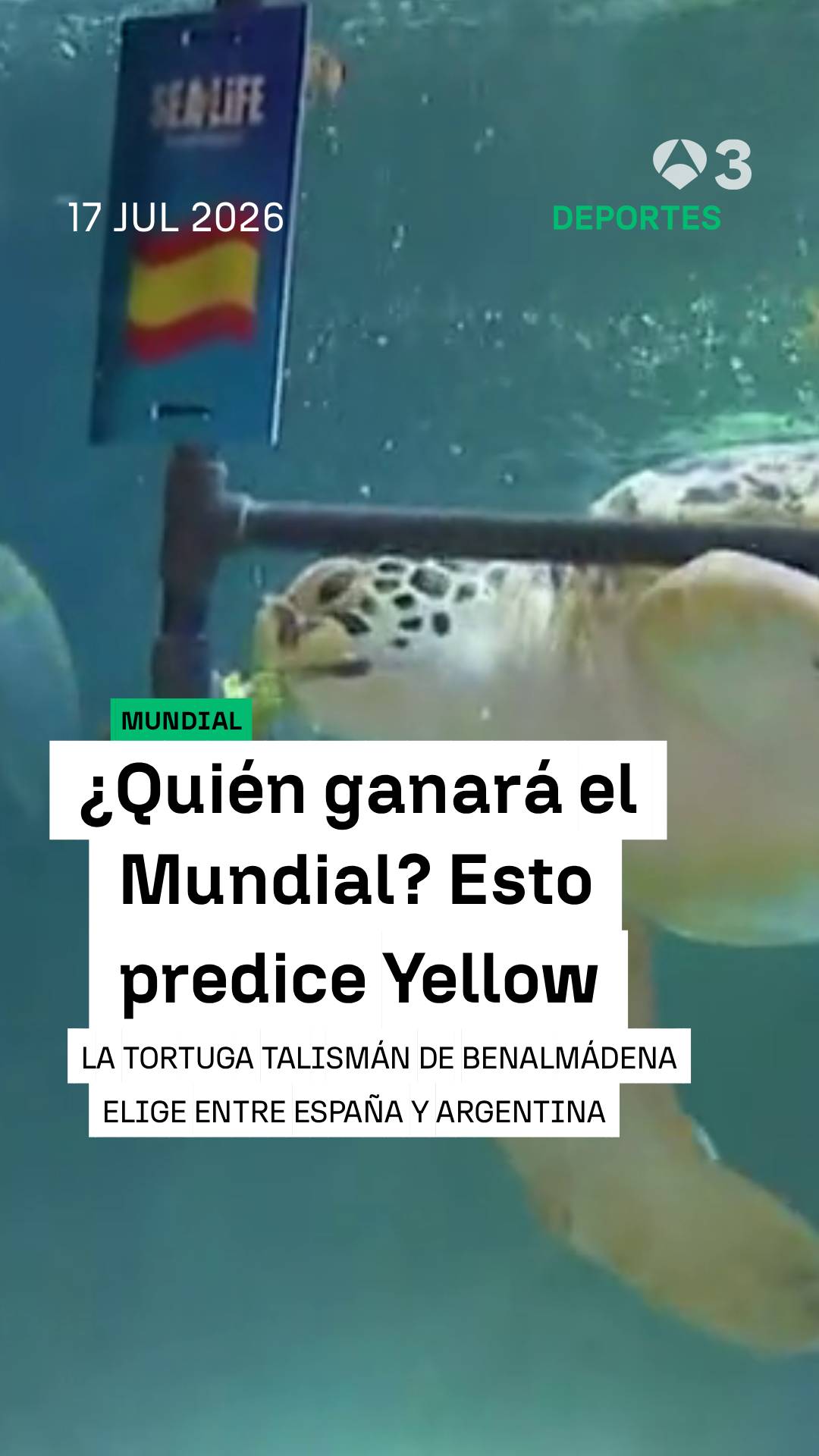 🐢🇪🇸 Yellow lo vuelve a hacer: elige a España como la ganadora del partido contra Argentina y, por tanto, como campeona del mundo.