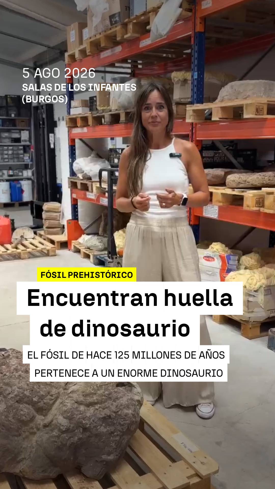 🦕 El fósil de una huella de dinosaurio, de hace más de 125 millones de años, ha sido hallada en Salas de los Infantes, en Burgos.