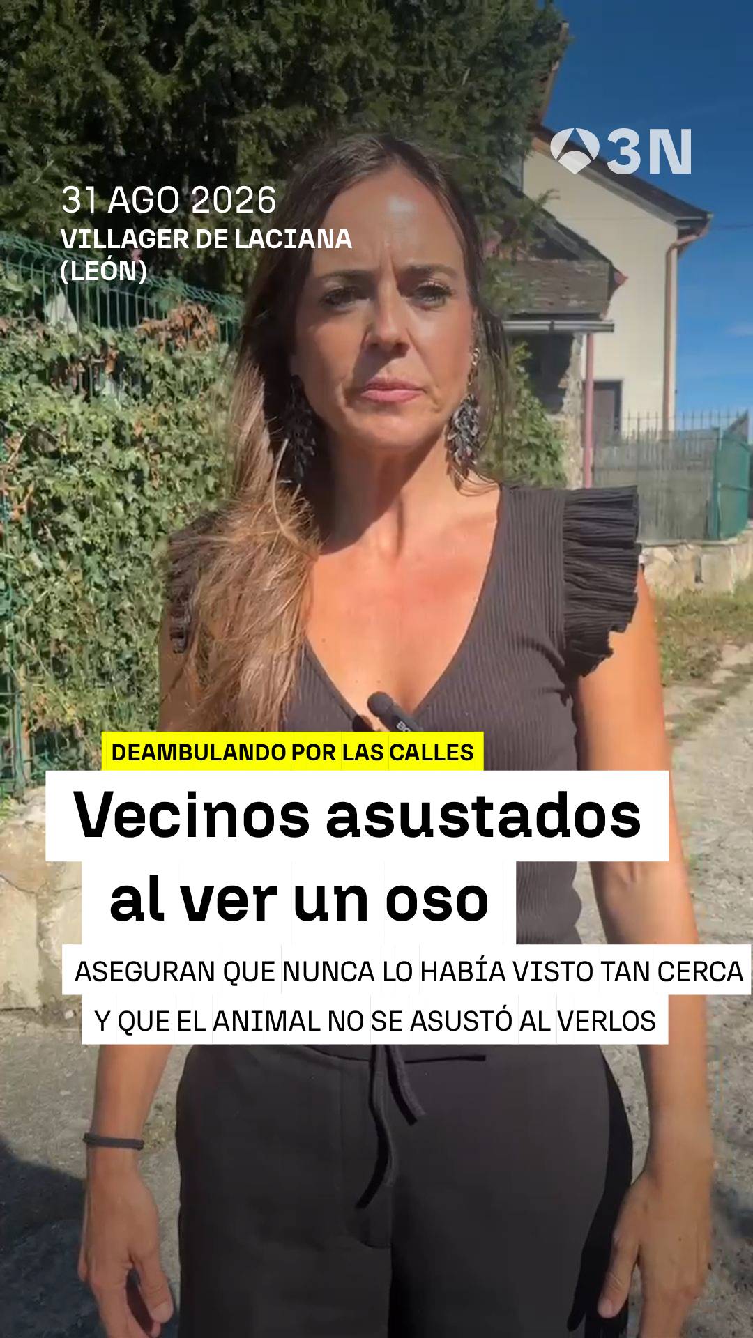 🐻 Inquietud en León: los vecinos de Villager de Laciana vieron ayer a un oso paseando por el pueblo durante media hora.