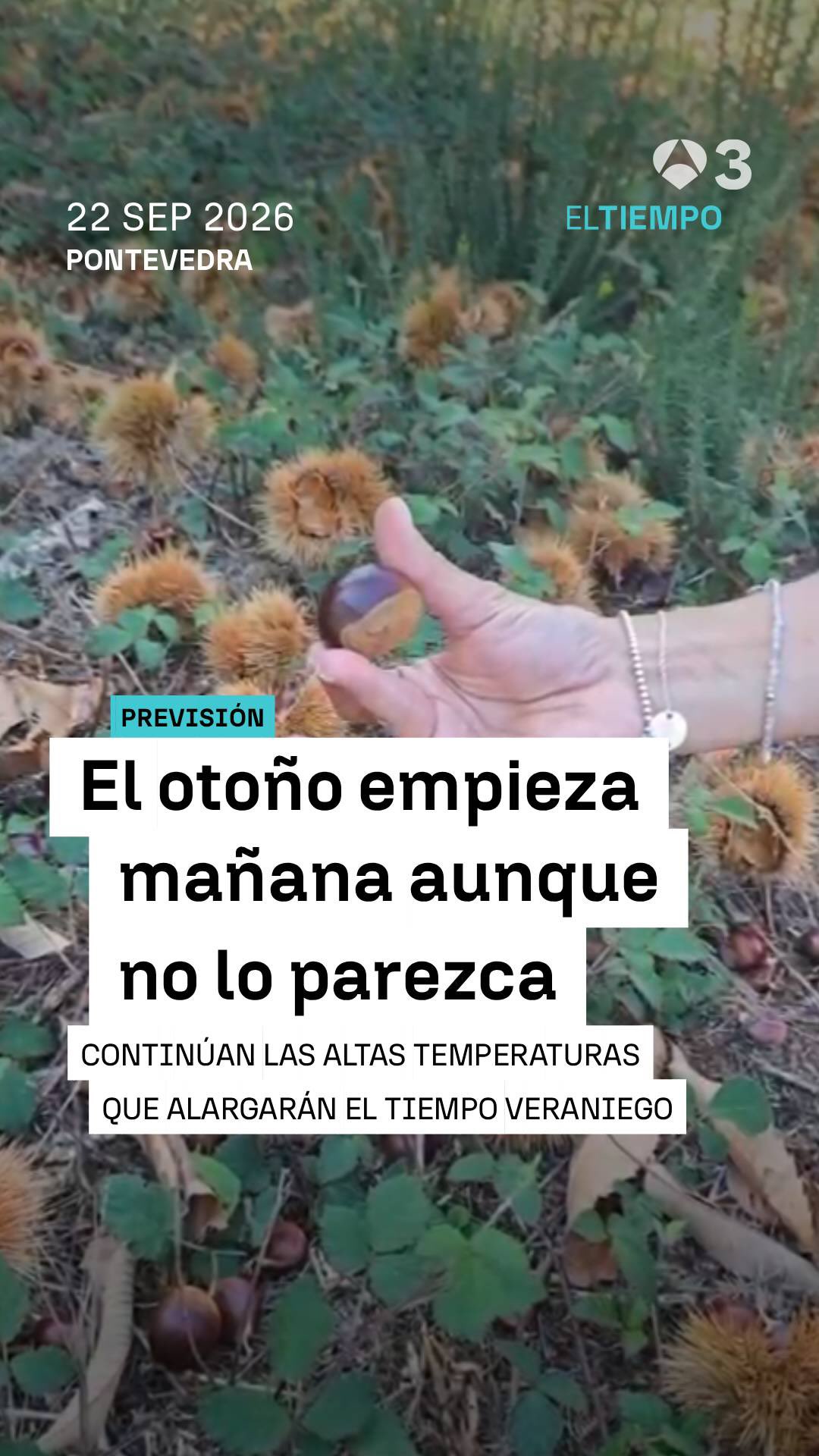🍂 Aunque mañana empieza el otoño, aún no lo parece