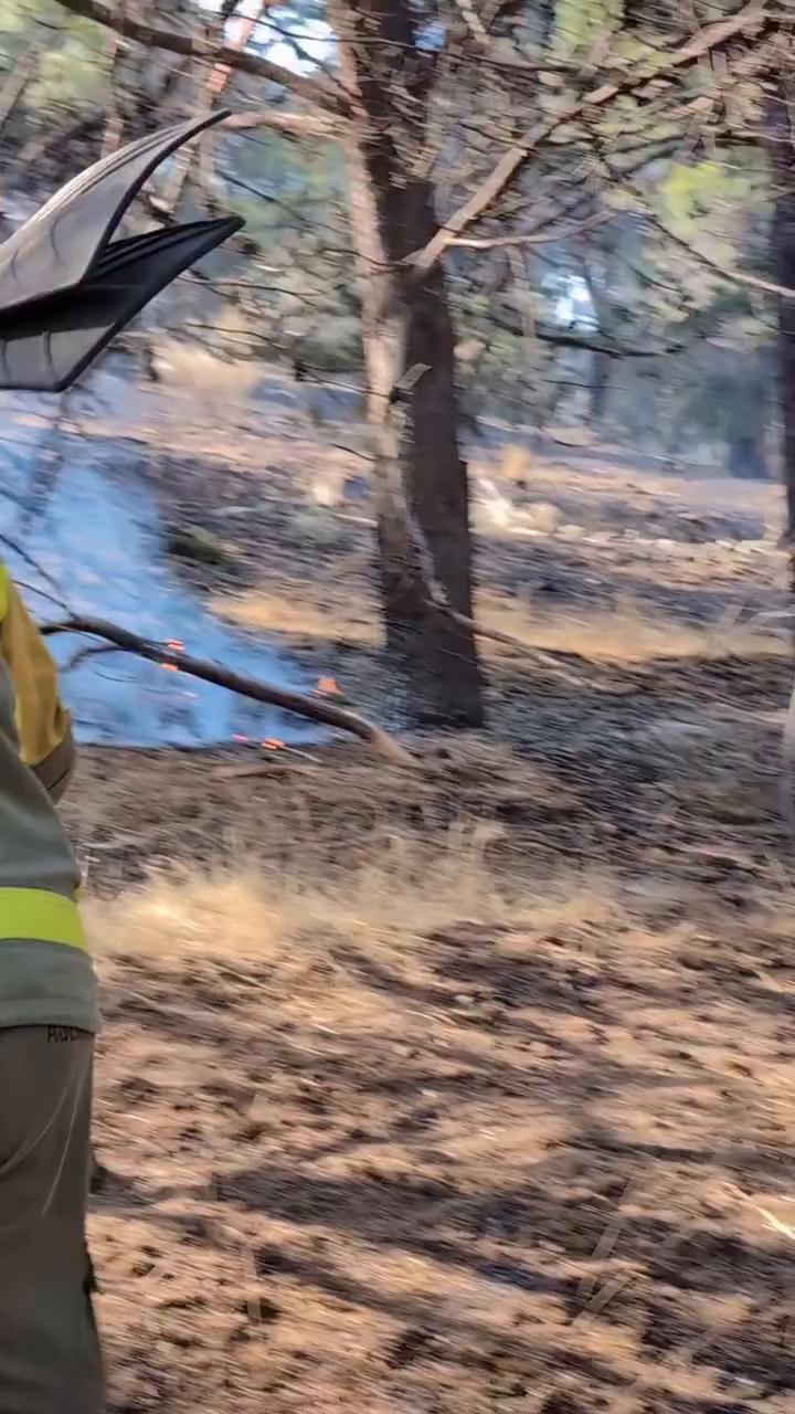 🔥El incendio de la Sierra Oeste de Madrid continúa activo y mantiene uno de sus puntos más críticos en el entorno del Pantano de San Juan y el río Cofio.