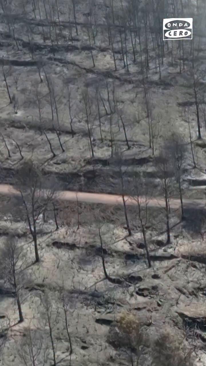 🔥 Las impactantes imágenes del paisaje calcinado en La Vilavella (Castellón) tras los incendios en la provincia