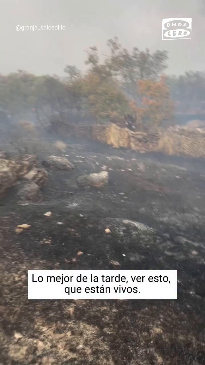 🫏 Una granjera se reencuentra con sus burros tras los incendios forestales en Zamora: 