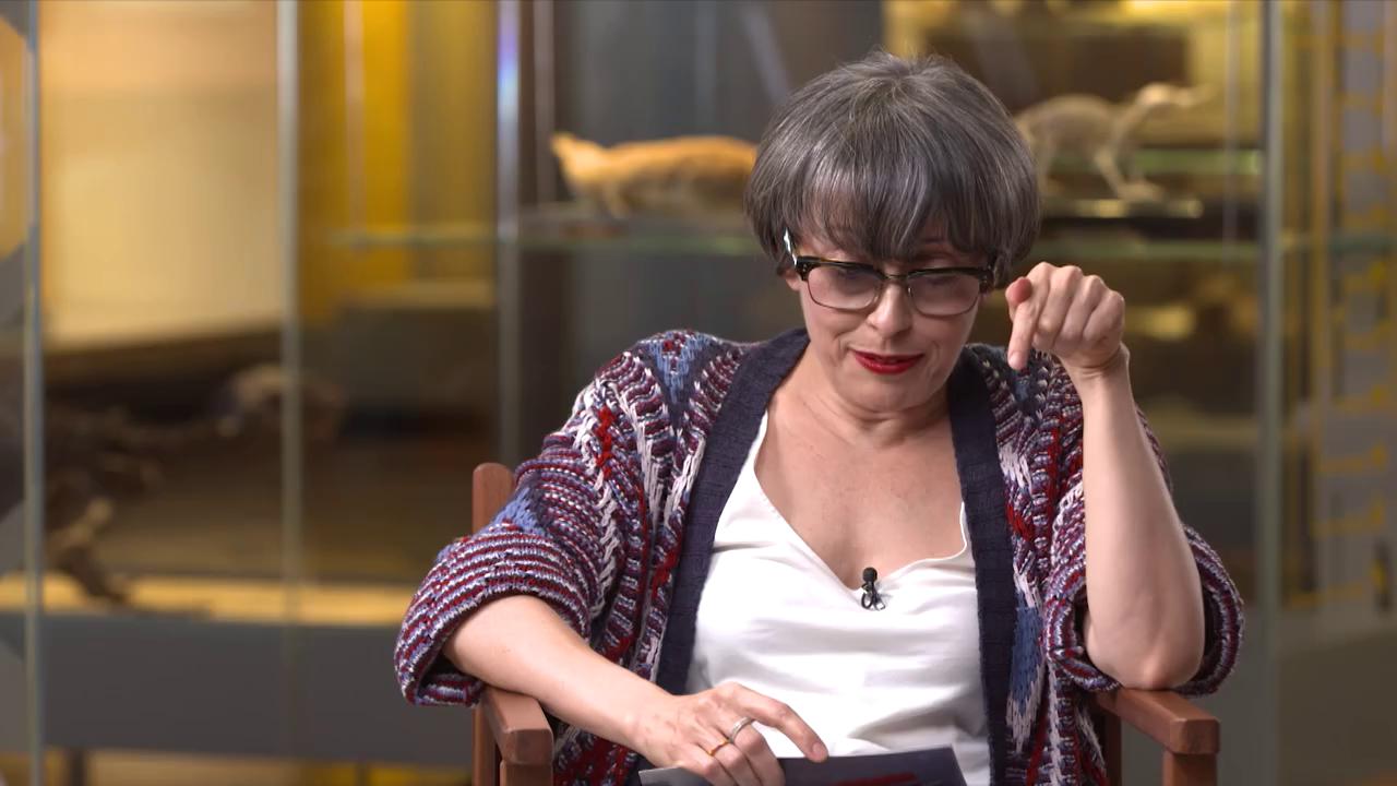 La píldora y la evolución: por qué los humanos decidimos si tener hijos