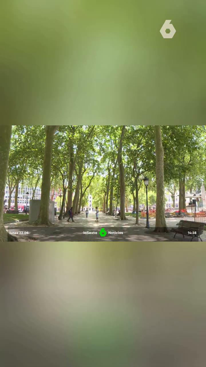 🥵 Buscar un refugio para sobrevivir a los 42 grados que se esperan hoy en Bilbao.