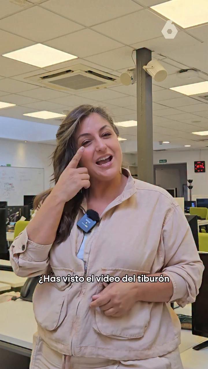 🦈 ¿Has visto el vídeo del tiburón que compró una guardería?