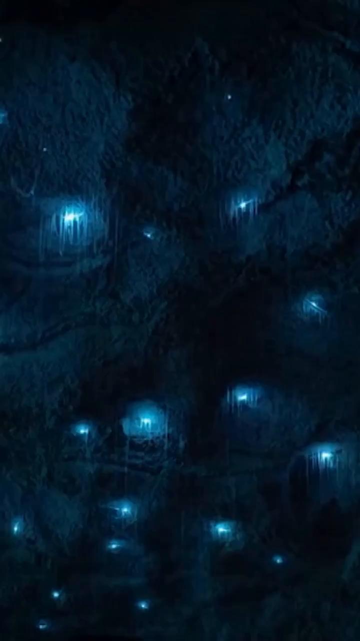 @fco_cacho y la cueva de Nueva Zelanda donde siempre hay luz, de día y de noche.