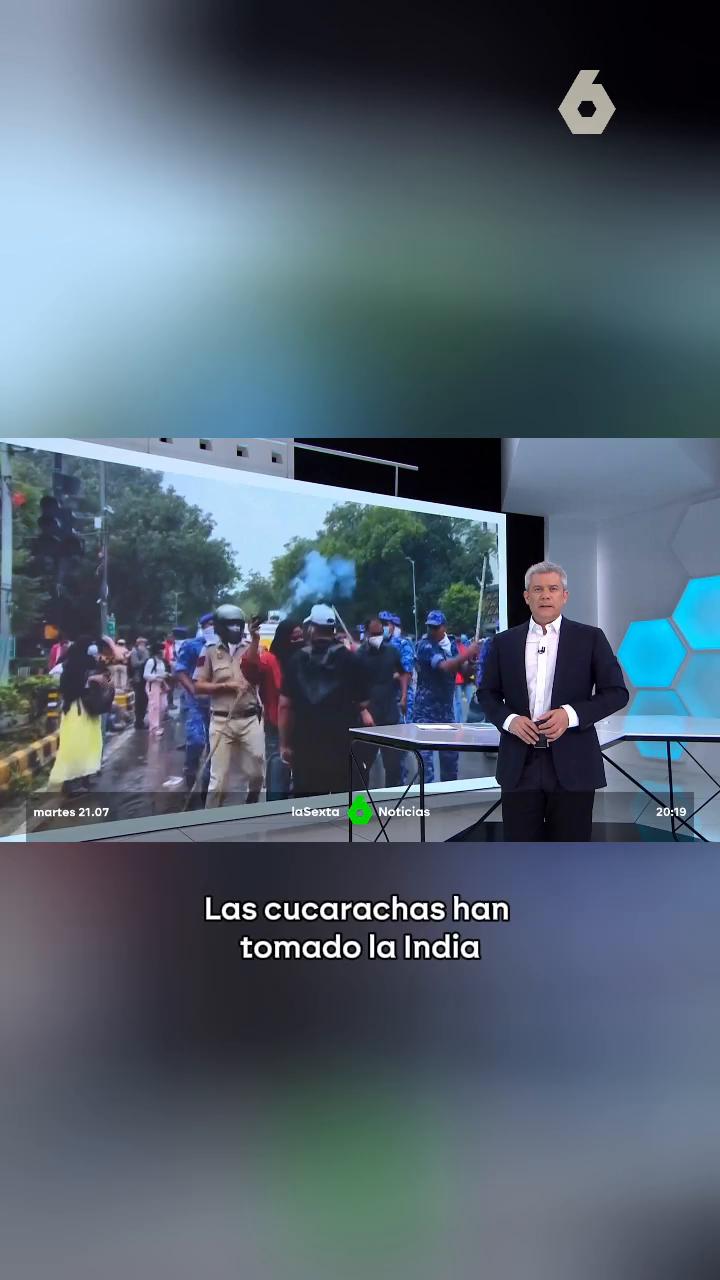 Las 'Cucarachas' contra el poder en India: así es el movimiento juvenil que desafía al Gobierno.