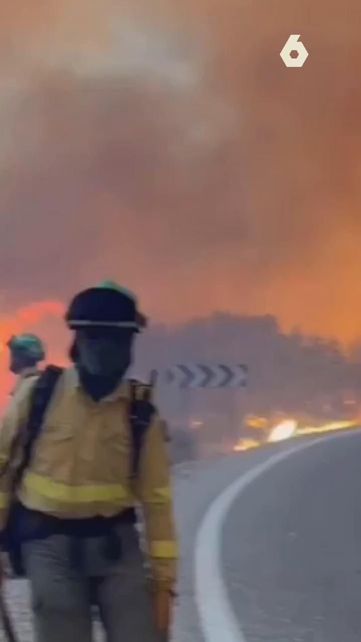 🔴 Al menos 11 muertos y 19 desaparecidos en el incendio de Los Gallardos (Almería), En palabras del consejero andaluz de Presidencia, Sanidad y Emergencias, Antonio Sanz,  el peor 