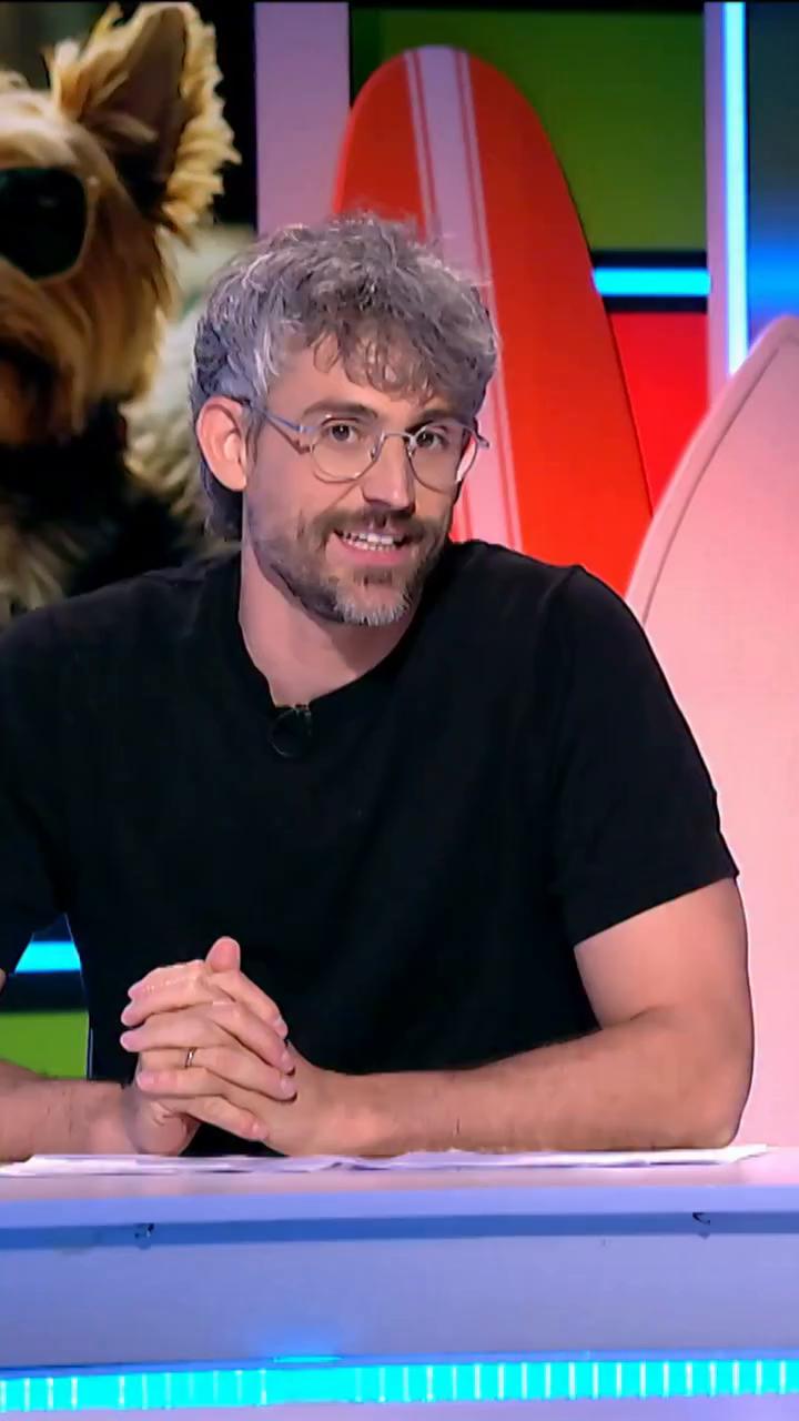 Víctor Algra @unveterinario nos habla de un peligro veraniego para nuestros perretes: las espigas del campo☝️