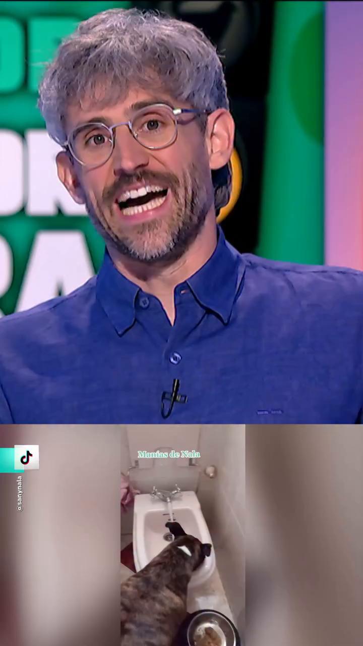 ¿Es aconsejable dejar a nuestros perros y gatos beber del inodoro o del lavabo?