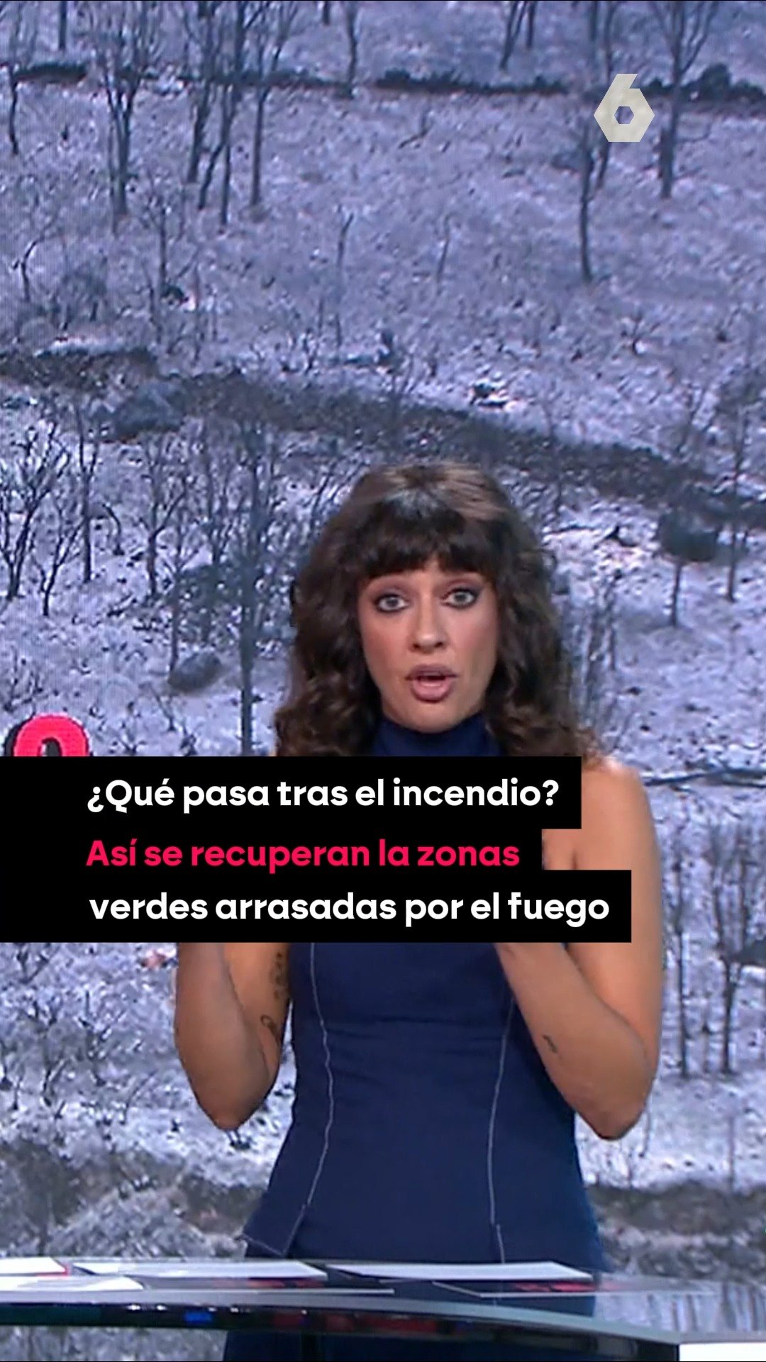 🪾 ¿Cómo se recuperan los ecosistemas arrasados por el fuego en estos macroincendios?