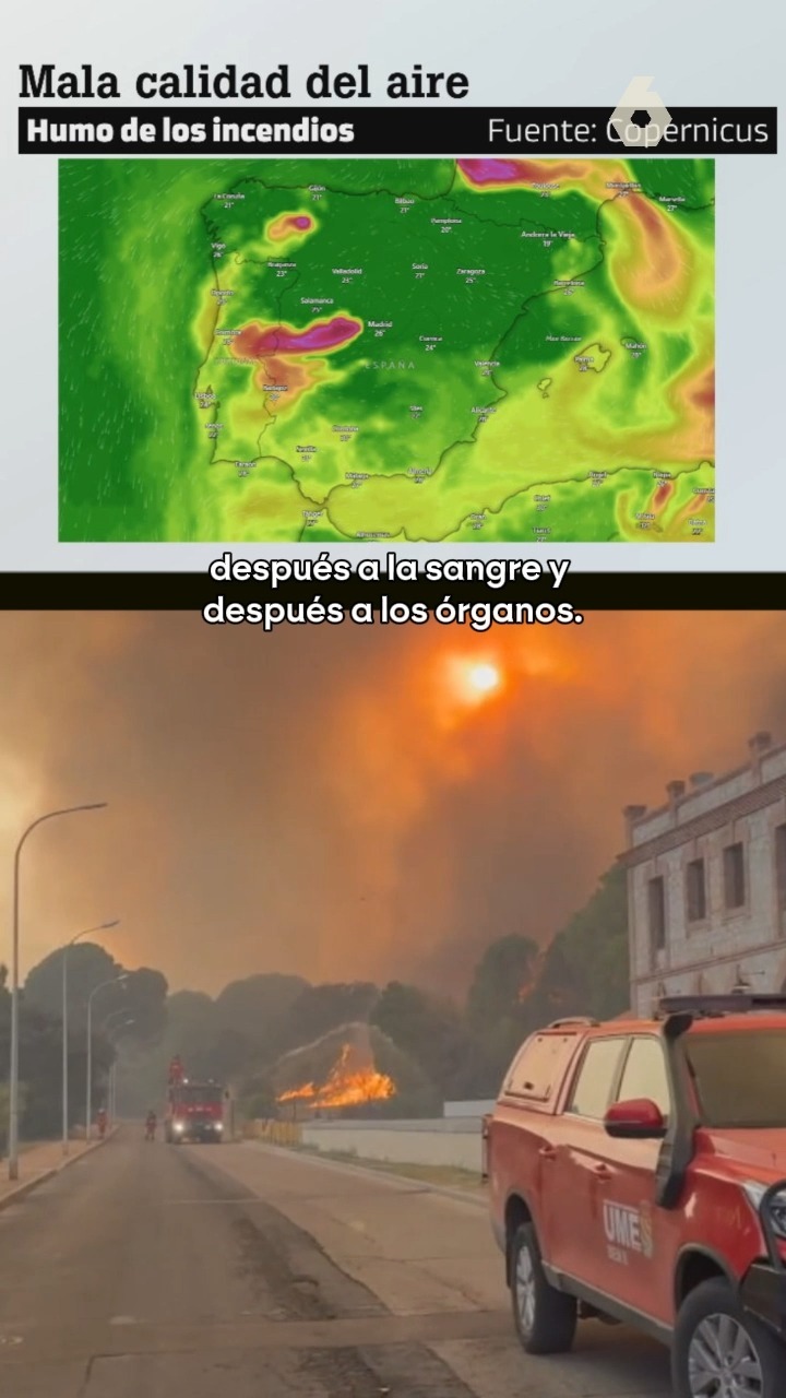 ⚠️ Usar mascarillas, evitar salir al exterior y nada de ventilar: las recomendaciones sanitarias ante los incendios de España.