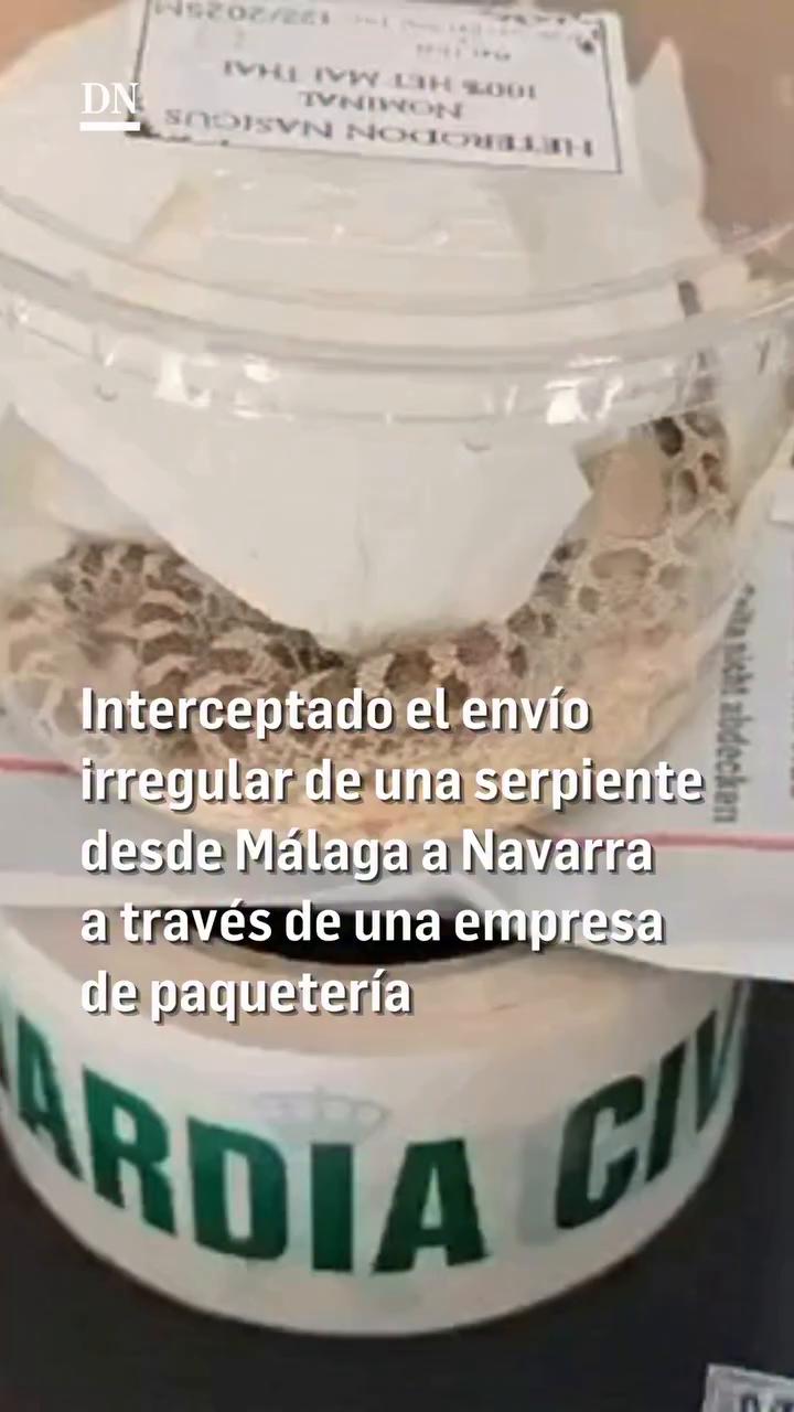Efectivos del SEPRONA de la Guardia Civil de Navarra han investigado el envío irregular de una serpiente desde Málaga hasta Pamplona a través de una empresa de paquetería no autorizada para el transporte de animales vivos.