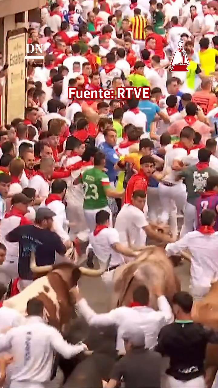 Teo examina con lupa el toro que se perdió al entrar en la plaza
