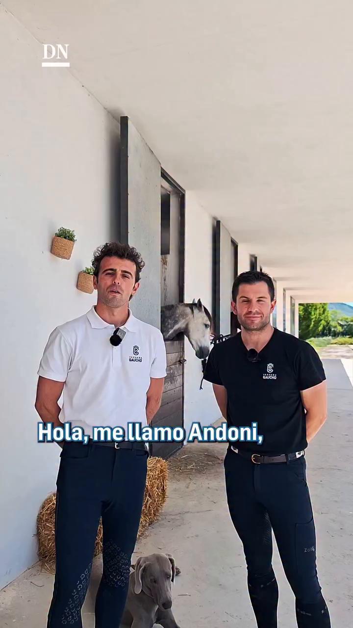 Yeguada Gaucho cría caballos de pura raza española cerca de Pamplona