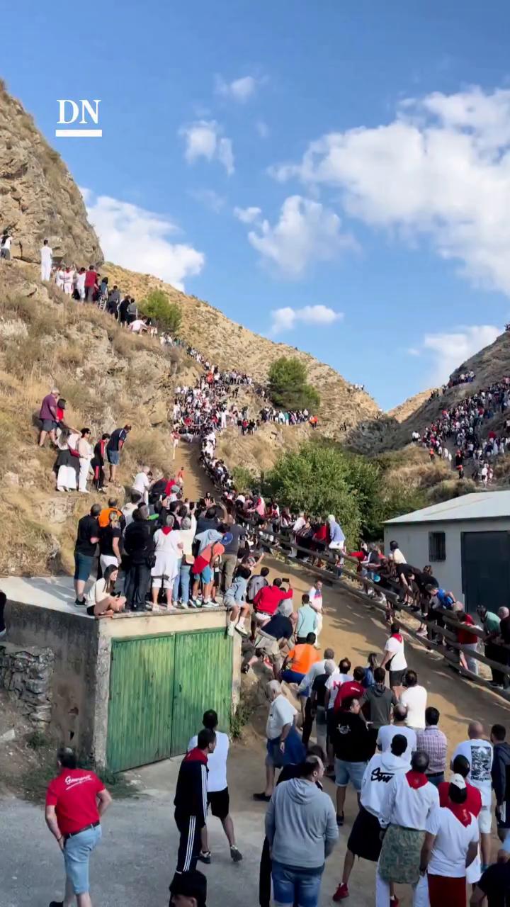 El video finaliza con un breve mensaje de agradecimiento