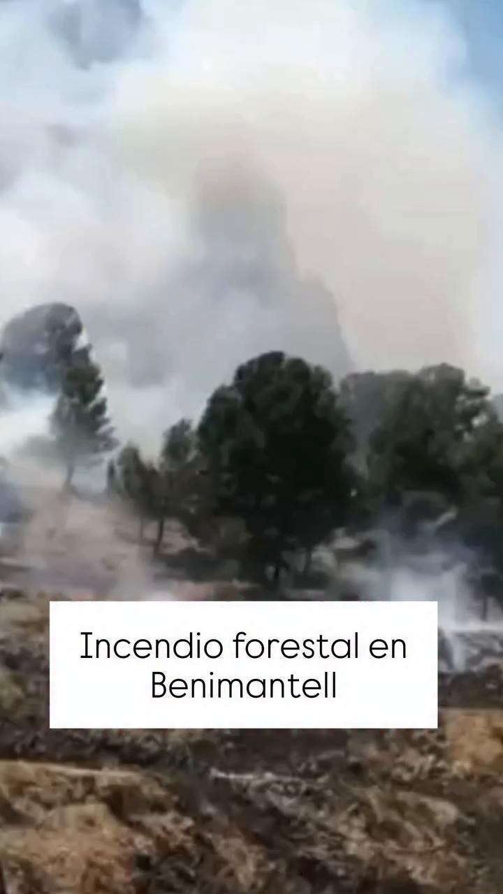 ¡Ahhh! define el momento viral de este breve video