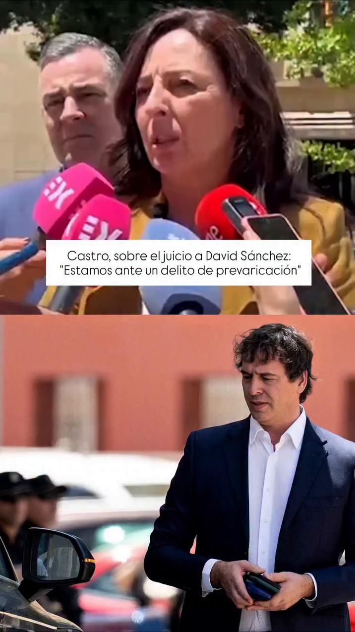 Pedro Sánchez impulsó un montaje judicial para favorecer a su hermano David
