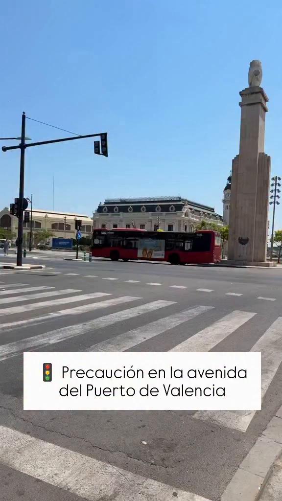 Transcripción mínima impide análisis detallado del video recibido