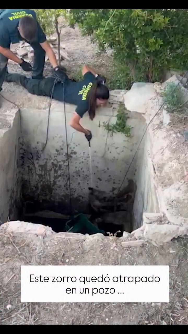 Trabajadores gritan órdenes para subir una caja con dificultad