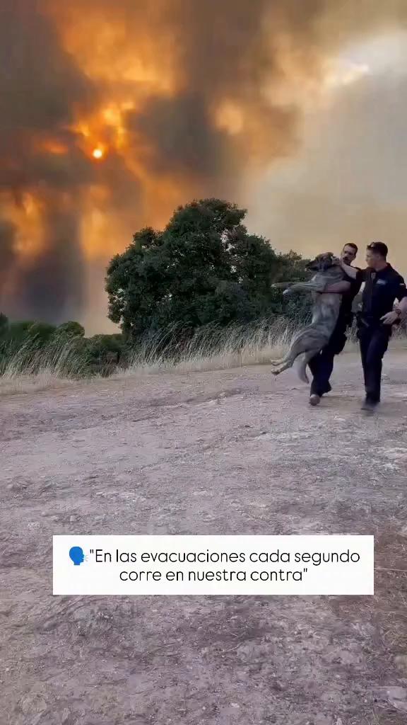 Voces dan órdenes para arrancar y girar el coche