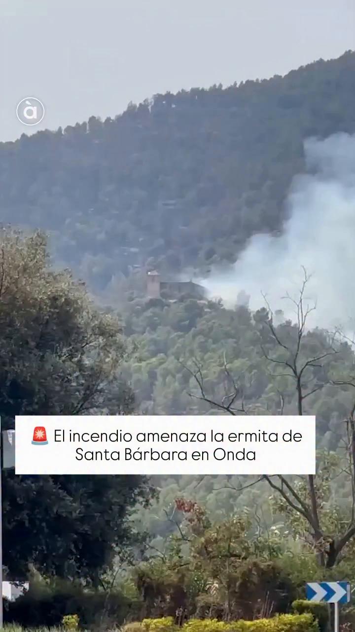Por si viene otra vida por ahí: ¿qué estás descargando?