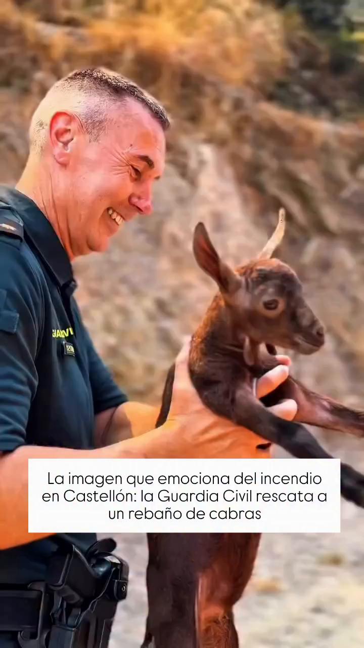 El video concluye con un mensaje de agradecimiento a los espectadores