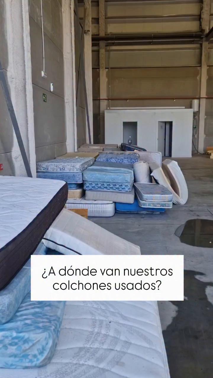 Cómo pelar el coletón y retirar el testigo exterior para extraer muelles