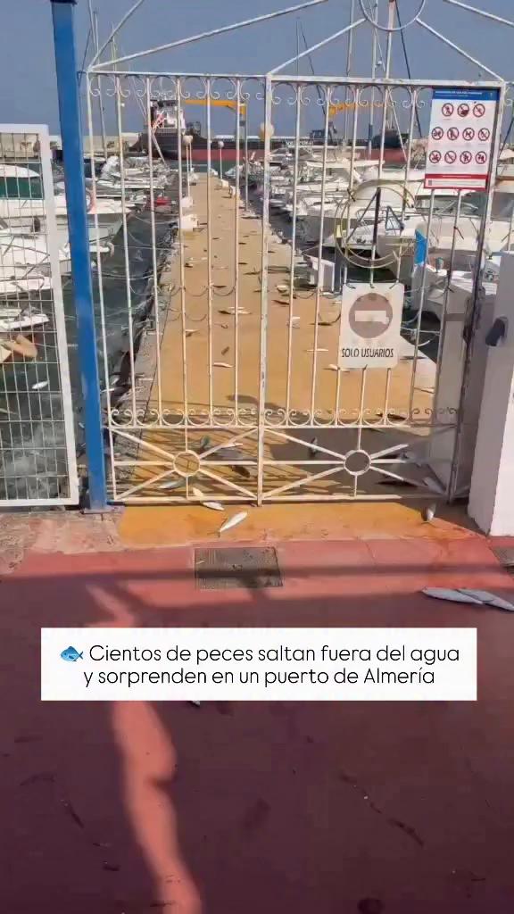Grazie per la visione: il video si chiude con un saluto finale